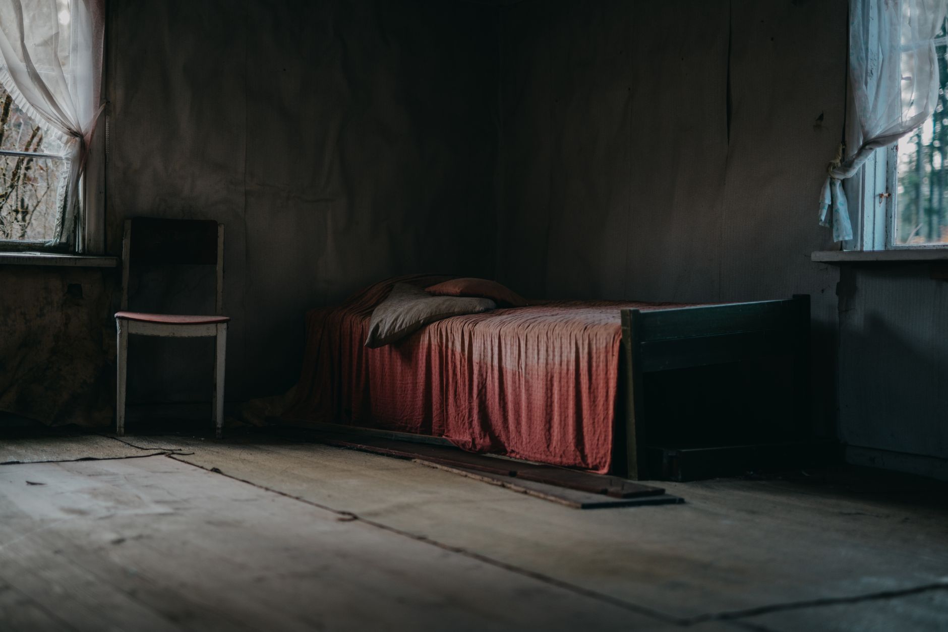 Traitement punaises de lit à L'Haÿ-les-Roses